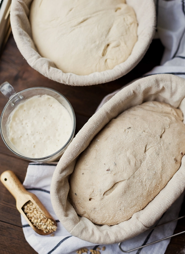 Craft and crust wood pulp bannetons