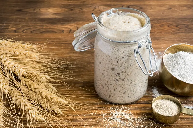 Einleitung: Beginnen Sie Ihre Sauerteigreise 4 Cultivating Your Sourdough Starter