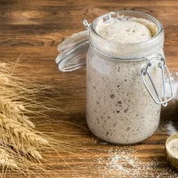 Cultivating Your Sourdough Starter